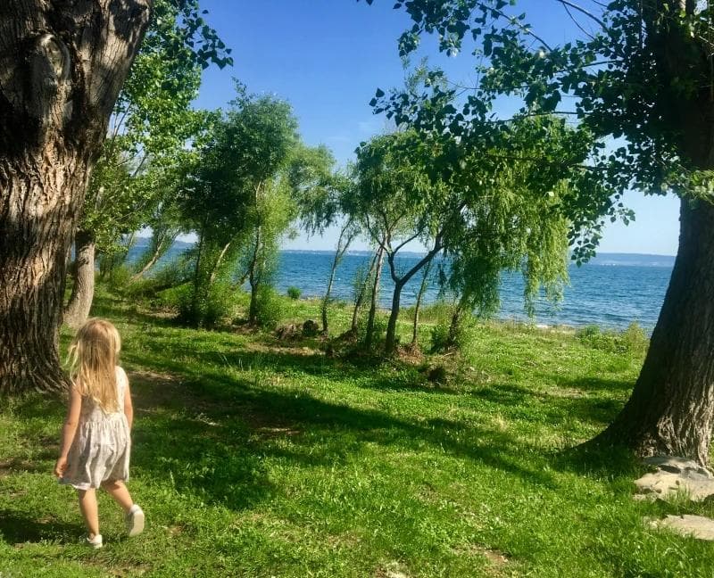 A girl walking in a forest by a lake